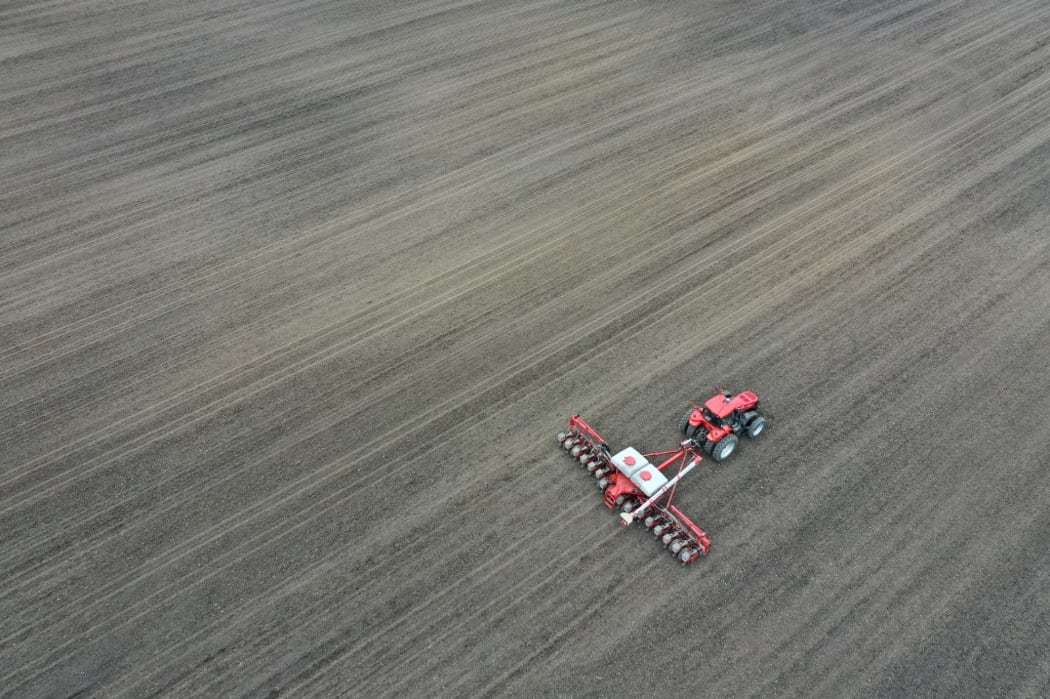 A corn farm in Illinois