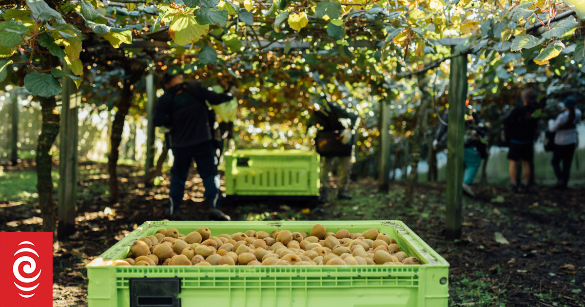 India trade deal: Kiwifruit scientists help grow industry