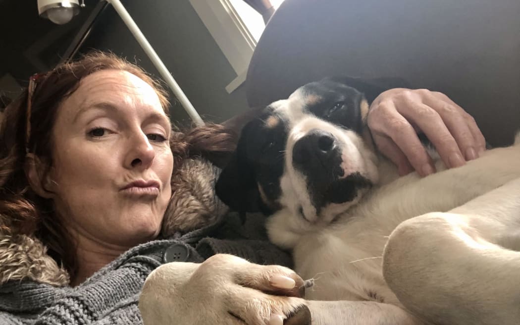 Eric, a former pig dog turned pampered pet, at home with Marie-Claire Andrews of the Retired Working Dogs trust.