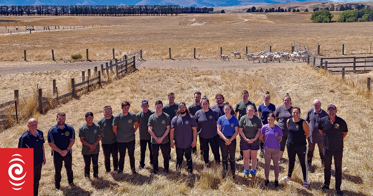 Australian shearers to learn NZ's 'fanatical approach' to wool preparation - Vimarsana News