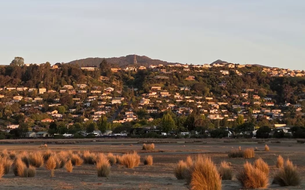 The rental home on the Port Hills in Nelson sat near the Tāhunanui slump – a large, slow-moving landslide - but the council said there were no known or reported slips on the property that was the focus of the Tenancy Tribunal decision.