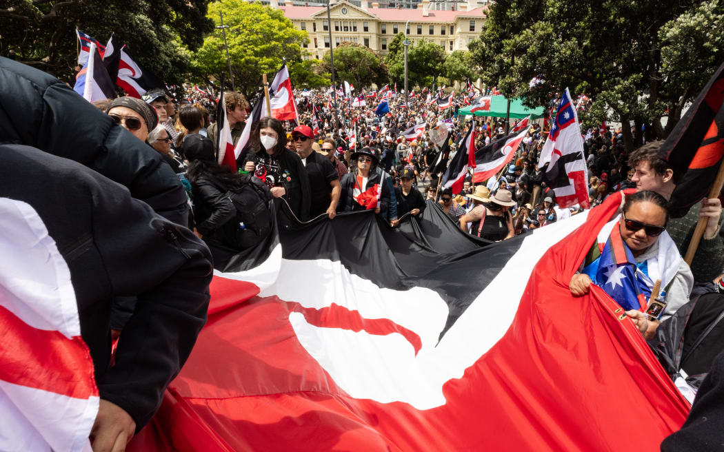 The hikoi against the Principles of the Treaty of Waitangi Bill reaches Parliament.