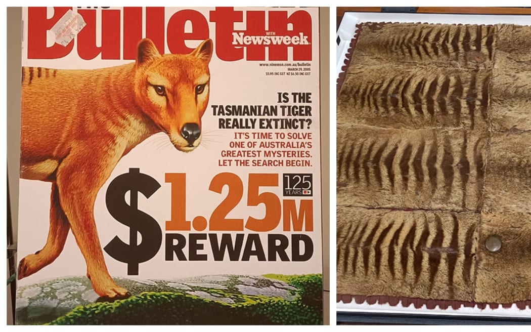 Tasmanian Tiger