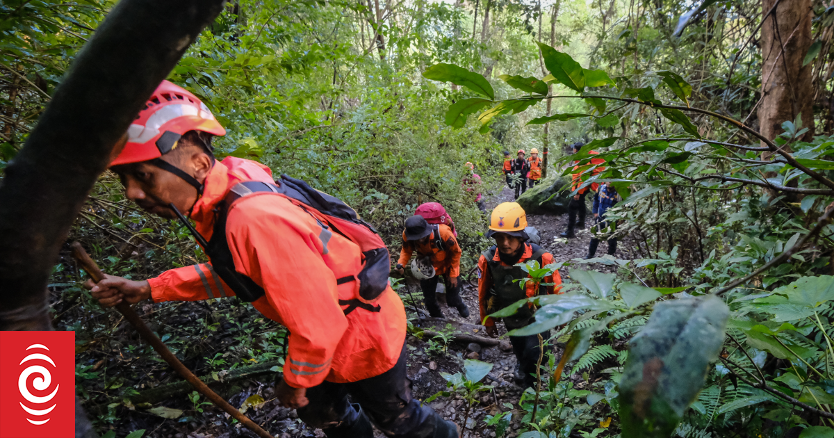Wreckage of missing Indonesian plane with 11 on board
