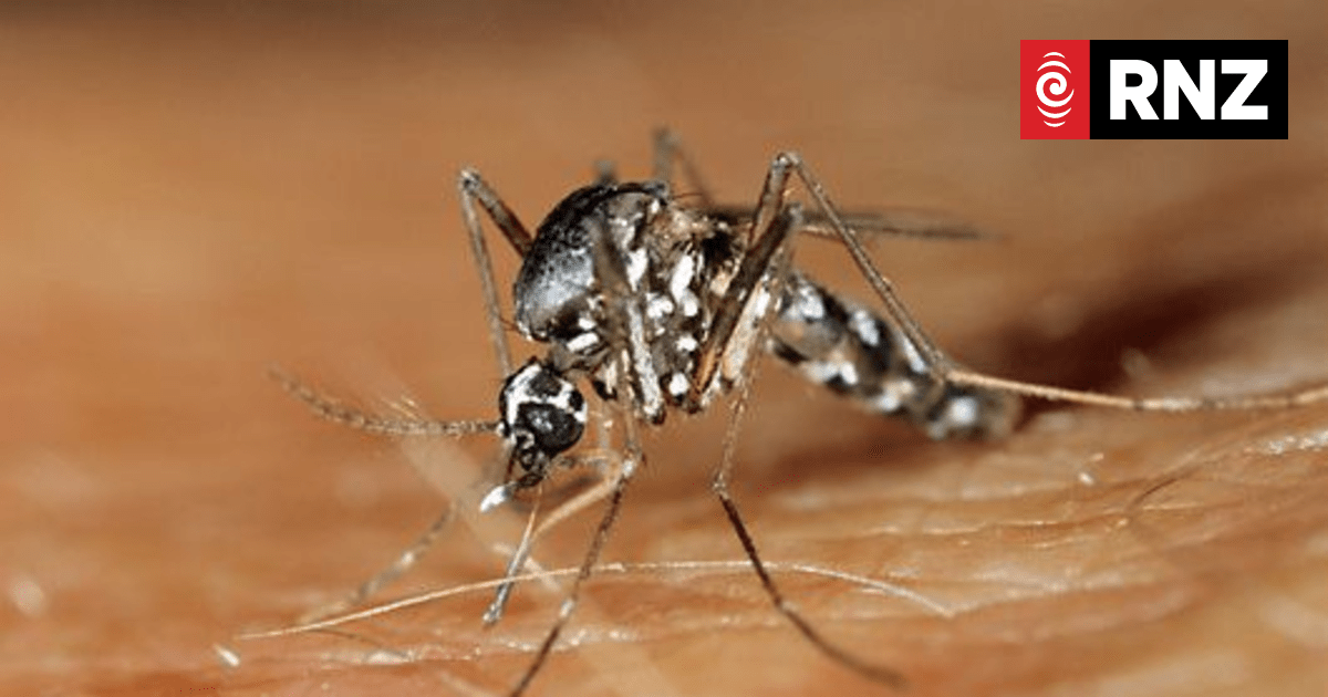 34 more dengue cases in latest Samoa numbers - Vimarsana News