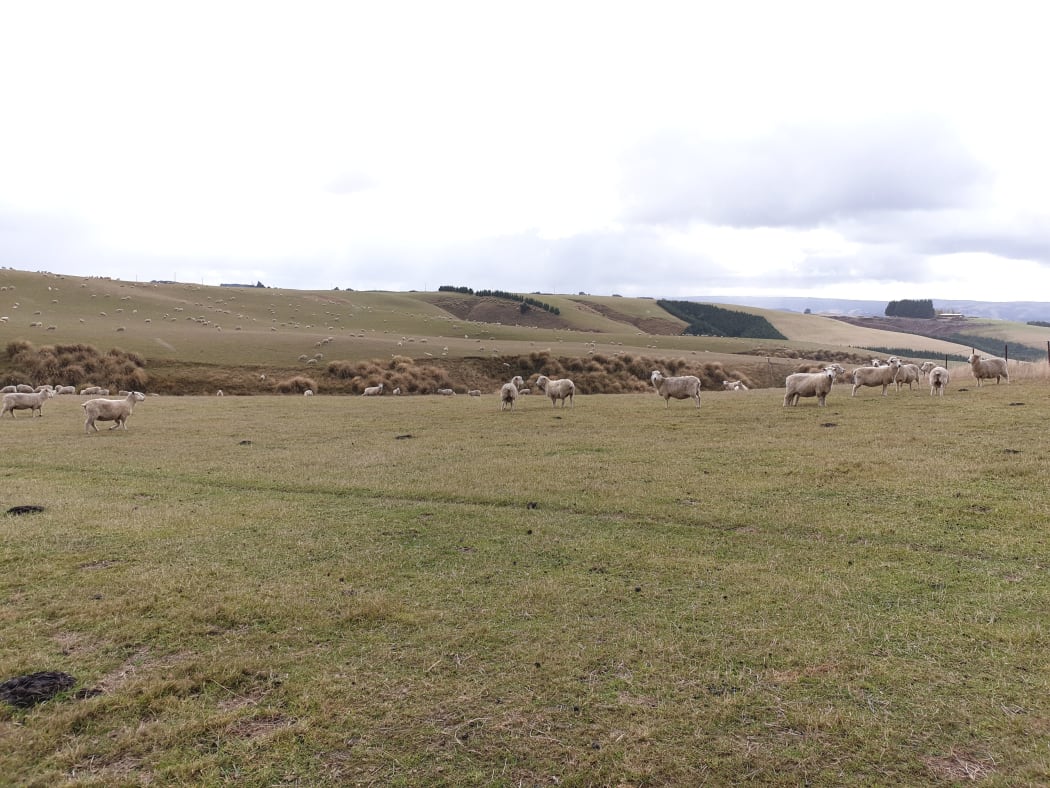 The usually lush Clutha Southland region is facing increasingly dry conditions.