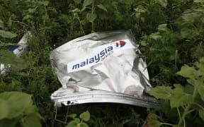 Debris from MH17 on the ground near the village of Rozsypne.