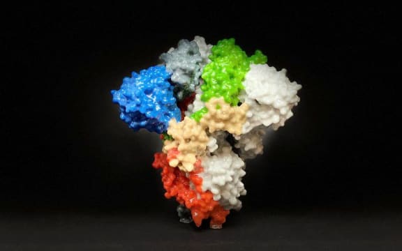 The 'spike' protein sticks out of the coronavirus shell, and could be used in some vaccines to trick the body into shutting out the virus.