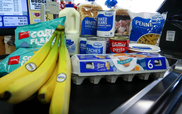 $24.93 of groceries at Pak'nSave