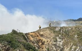 Fire crews working at a vegetation fire on the hill above the southern end of Wellington Airport near Moa Point.