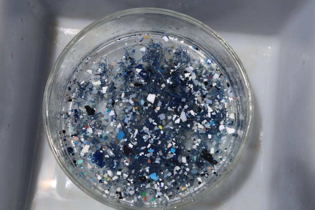 South Pacific garbage patch