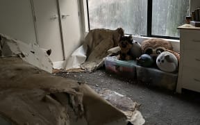 Damage at the property of Northcote resident Julie Armstrong. Along with her family, she has not been able to live there since January, 2023.