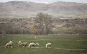 FOR WATER TAX story first - Generic Central Otago