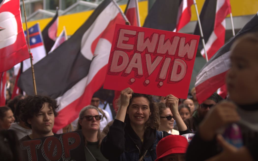 One of the many signs at the hīkoi mō Te Tiriti as it makes its way to Parliament.