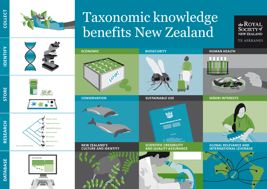 Infographic on the benefits of taxonomy