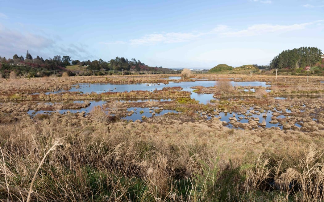 Kōpūrererua Valley is one of Australasia's largest urban wetlands.