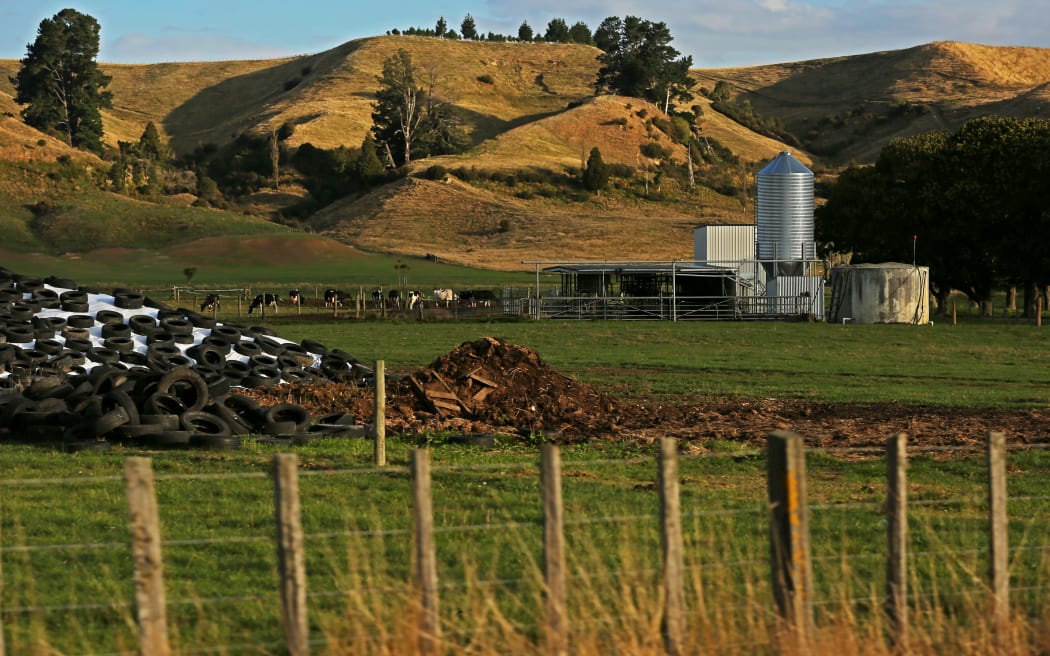 A dairy farm at Apiti, Manawatu.
