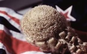 Judge wig