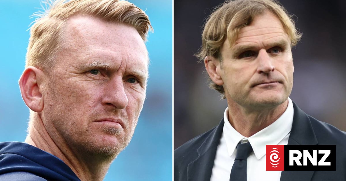 NZ Warriors coach Andrew Webster backs former All Blacks coach Scott Robertson for shock code switch