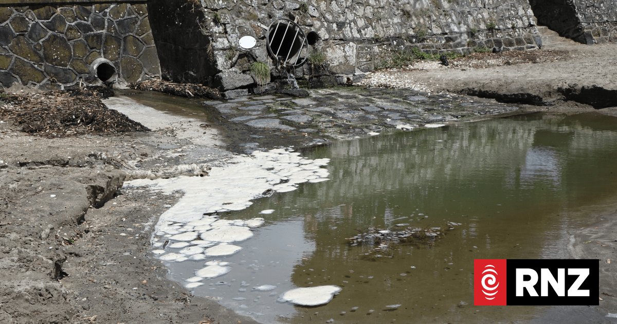'Poo tracker' shows extent of sewage in Auckland's beaches | RNZ News