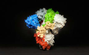 The 'spike' protein sticks out of the coronavirus shell, and could be used in some vaccines to trick the body into shutting out the virus.