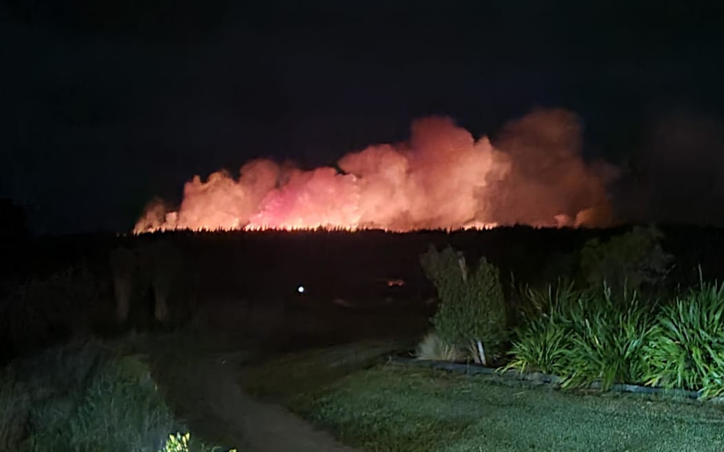 The fire burning in the forest off the coast of Pegasus just north of Christchurch.