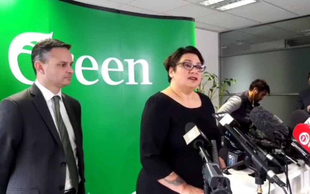 Metiria Turei