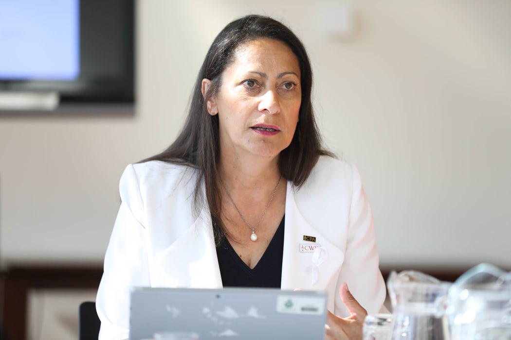 Labour MP and chair of the Commonwealth Women Parliamentarians Pacific Region Poto Williams runs a mentoring workshop for visiting Pacific women MPs.