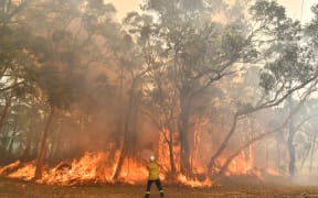 A firefighter conducts back-burning measures to secure residential areas from encroaching bushfires in the Central Coast, some 90-110km north of Sydney.