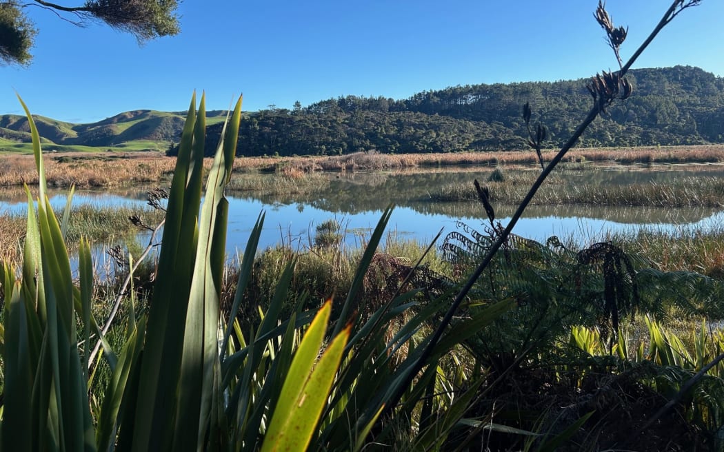 The Matuku Wetland retoration project has been recognised with an international award.