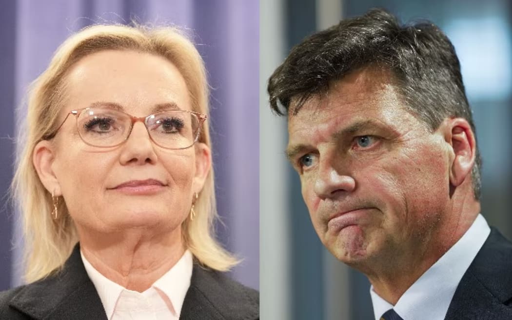 Angus Taylor has replaced Sussan Ley as Liberal leader. (ABC News: Matt Roberts/Luke Stimson)