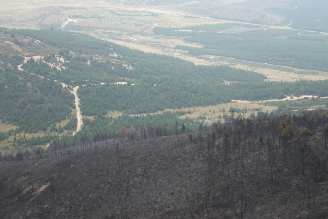 The fire opposite Craigieburn Forest Park near Arthur's Pass