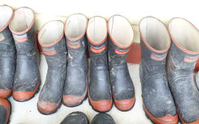 Gumboots were the dress code for the launch of the Te Wai Koiora project at Te Aroha Marae in Kai Iwi north of Whanganui.