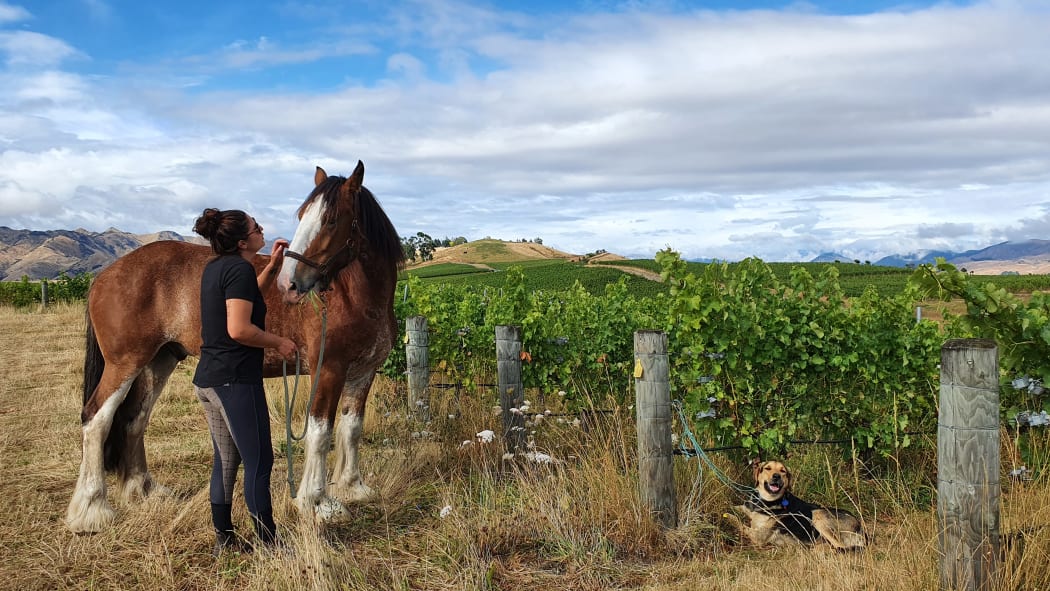 Horse and plough handler Emma Rossignol with Gordon