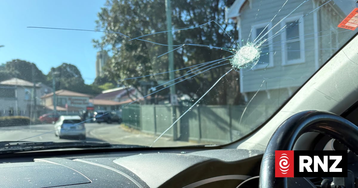 Wellington family shaken after pedestrian breaks windscreen of car with them inside