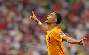Netherlands' forward Cody Gakpo celebrates