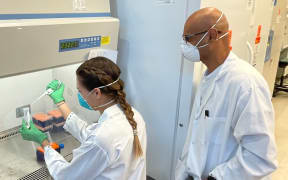 Simona Kraberger  and Arvind Varsani in the lab