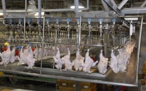 Chicken processing, USA