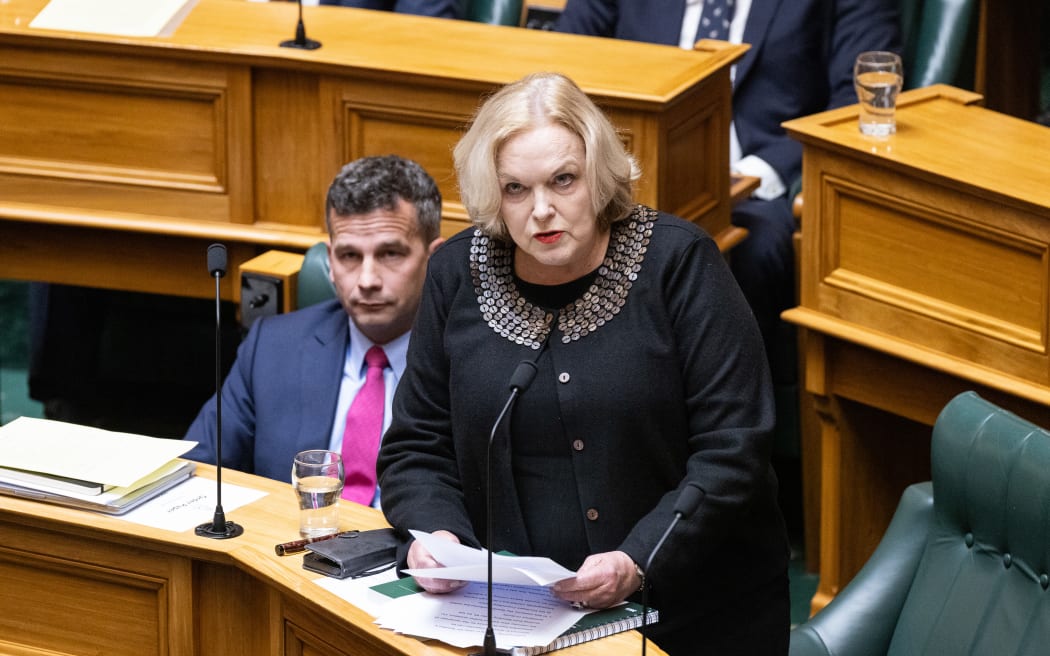 National MP Judith Collins speaking during the initial Privileges Committee debate regarding the Te Pāti Māori protest haka.