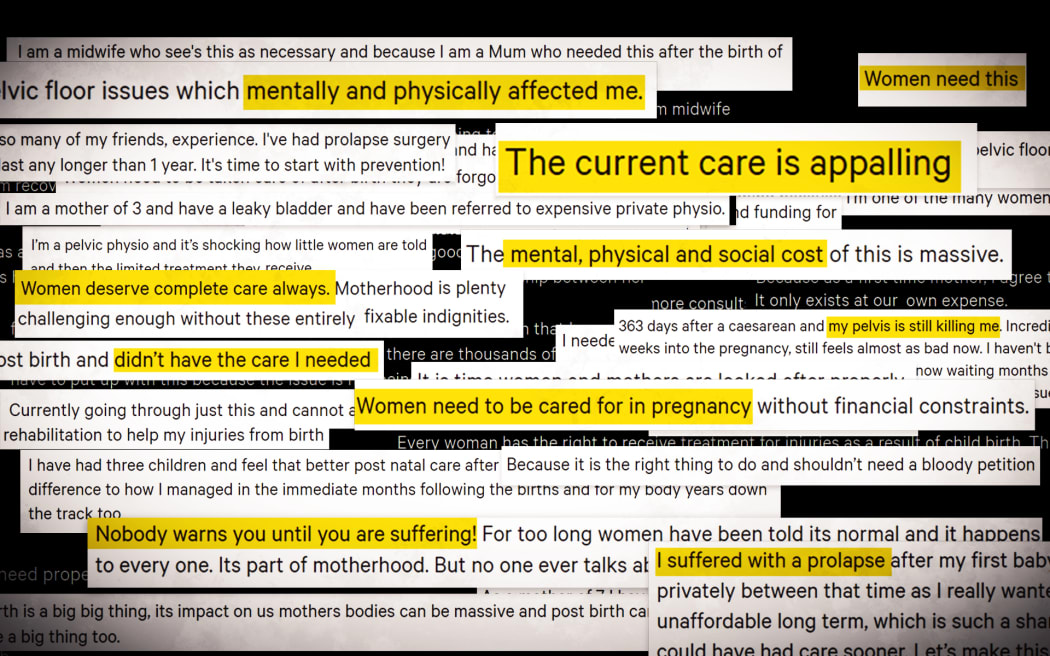 These are some of the thousands of comments people wrote when signing the petition which calls for improved rehabilitation care for New Zealand Women post-birth