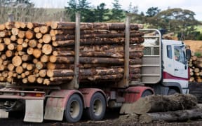 A logging truck on the roads near Kaitaia.