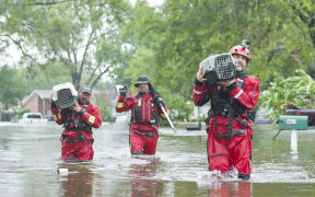 Responding to a resident report, the HSUS Animal Rescue Team (ART) Emergency Placement Partners.