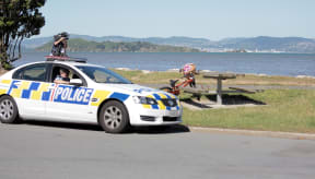 The search scene near the mouth of the Hutt River.