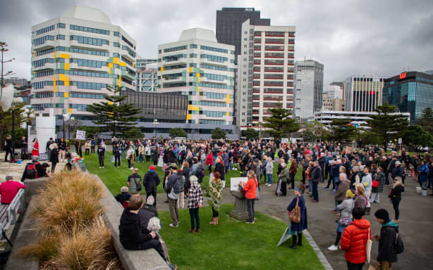 Attendees at the Stop Tiaki Wai protest in Frank Kitts Park