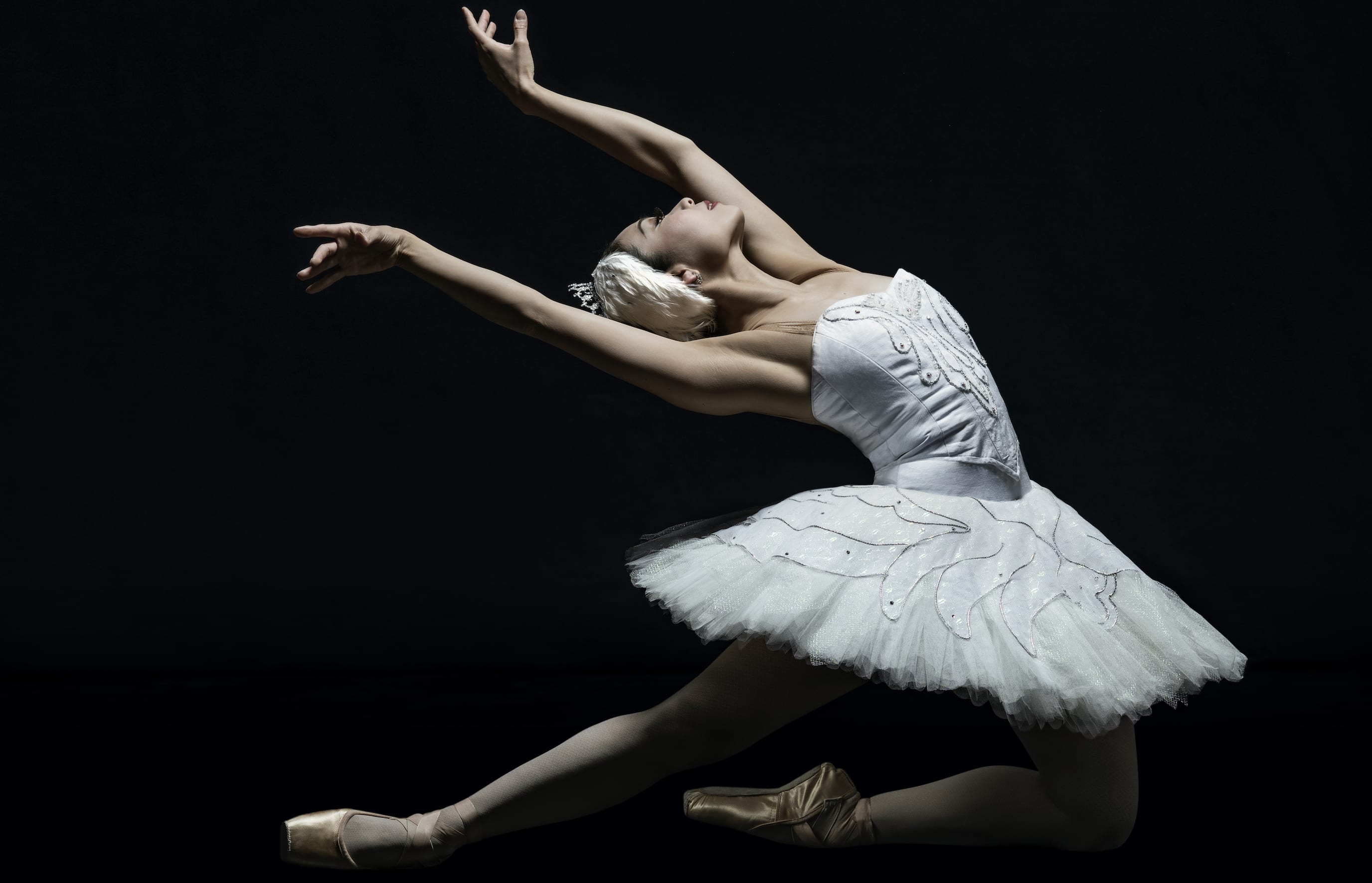 Principal Dancer Mayu Tanigaito