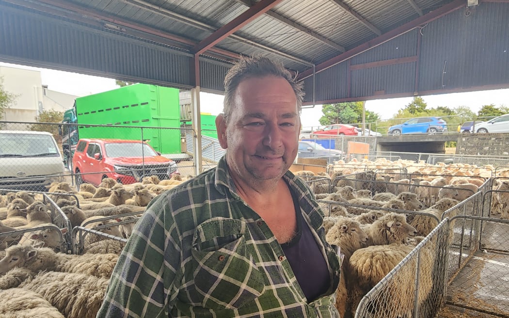 Allan Grant is in charge of the sheep at the Golden Shears 2024