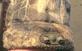 A 'distinctive' beanie sought by police.