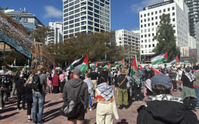 Protestors at Auckland's Aotea Square on Sunday 31 March want the New Zealand government to call for a ceasefire in Gaza.