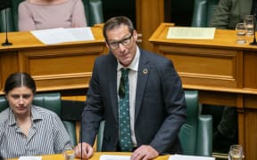 Mike Davidson makes his maiden statement in Parliament