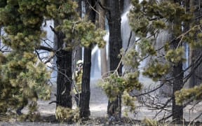 Firefighters work to put out a blaze near State Highway 1 near Burnham in Canterbury.